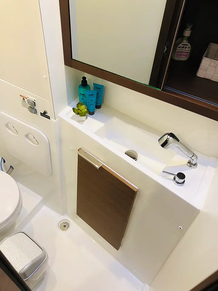 Lagoon 40 - Toilet