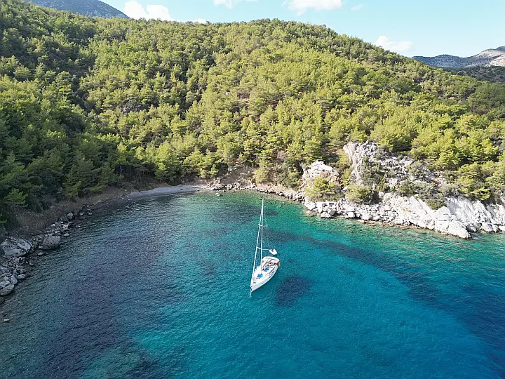 Sun Odyssey 509 - 