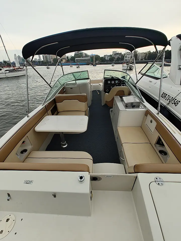 Sea Ray SDX 290 - 