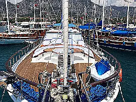 Blue Cruise
