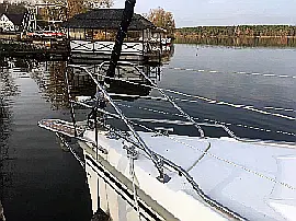 Swallow - Maxus 24