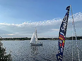 Swallow - Maxus 24