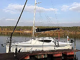 Swallow - Maxus 24