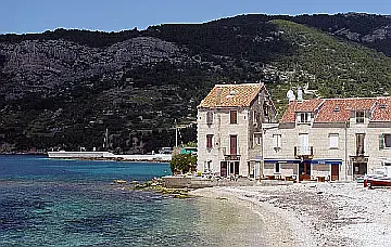 Vis