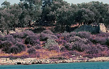 Cleopatra's Island