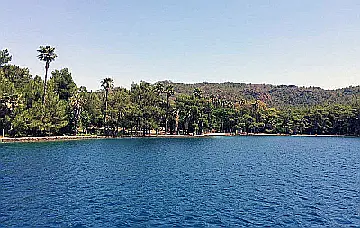 Bencik
