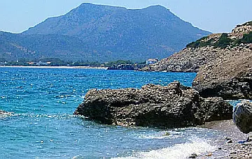 Palamut