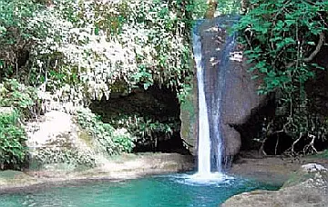 Orhaniye