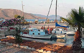Palamut