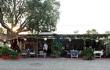 Palamut
