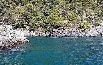 Cold Water Bay