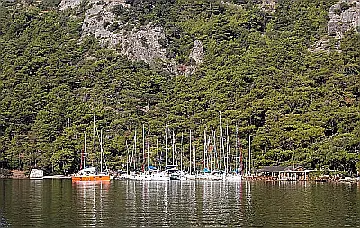 Wall Bay