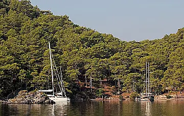 Wall Bay