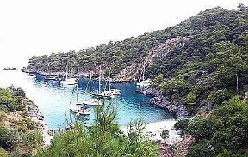 Cold Water Bay