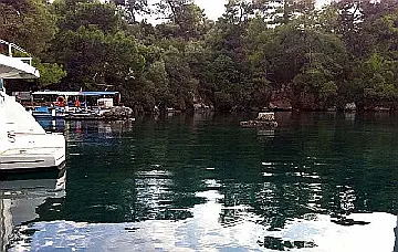 Kapi Creek