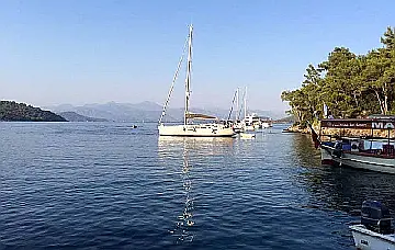 Sarsala